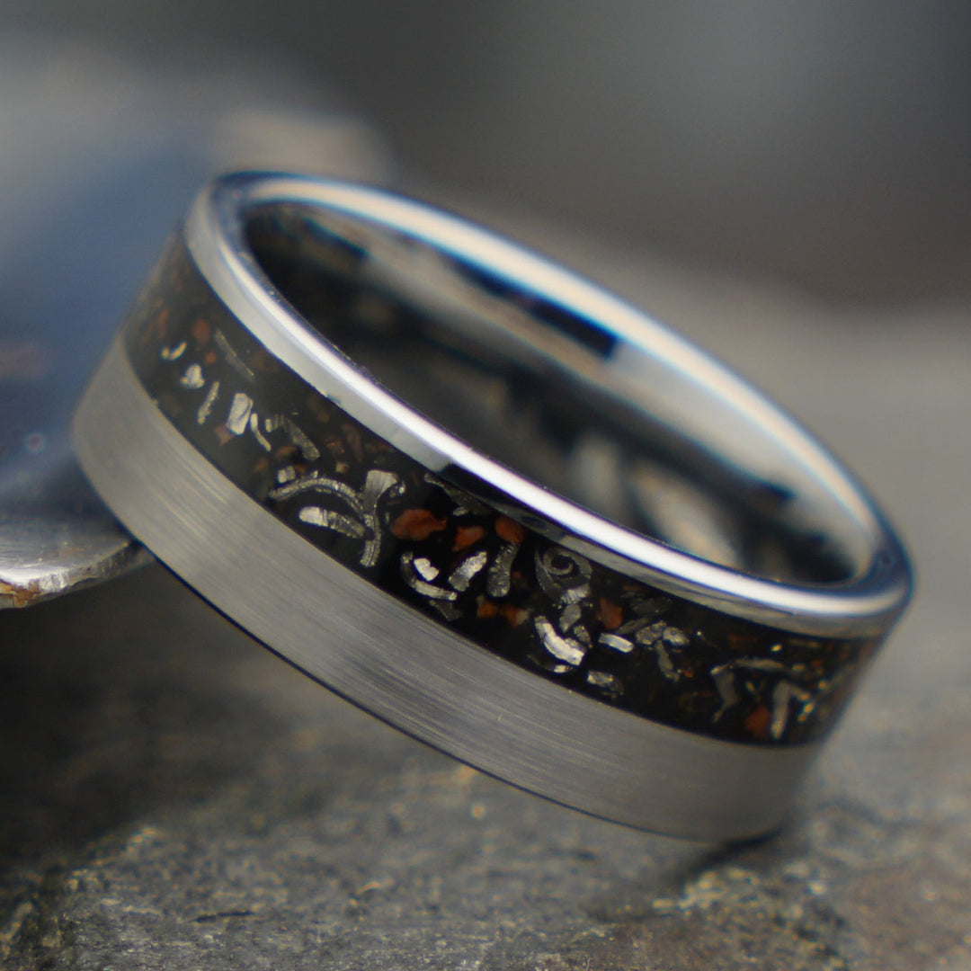 Dinosaur Fossil & Meteorite Men's Wedding Ring in Titanium