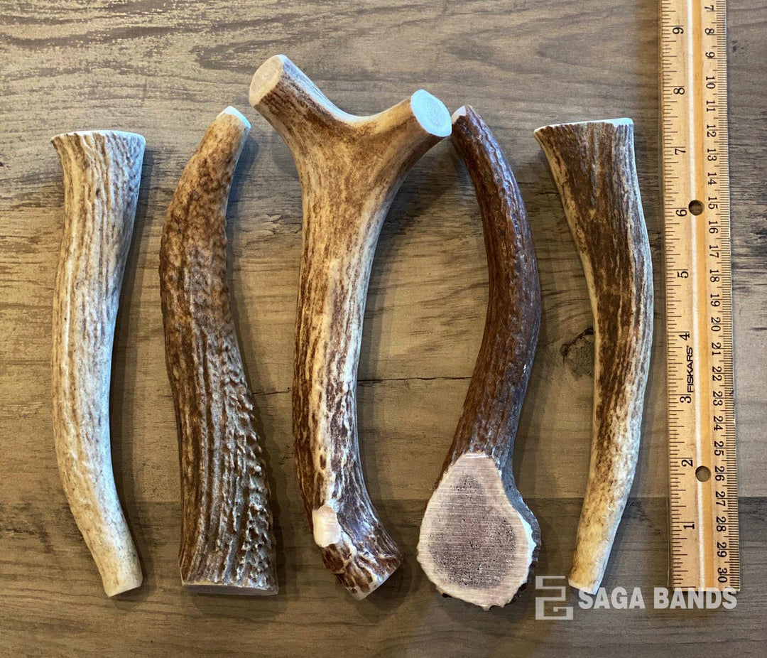 Naturally shed deer antlers for ring making, Saga Bands