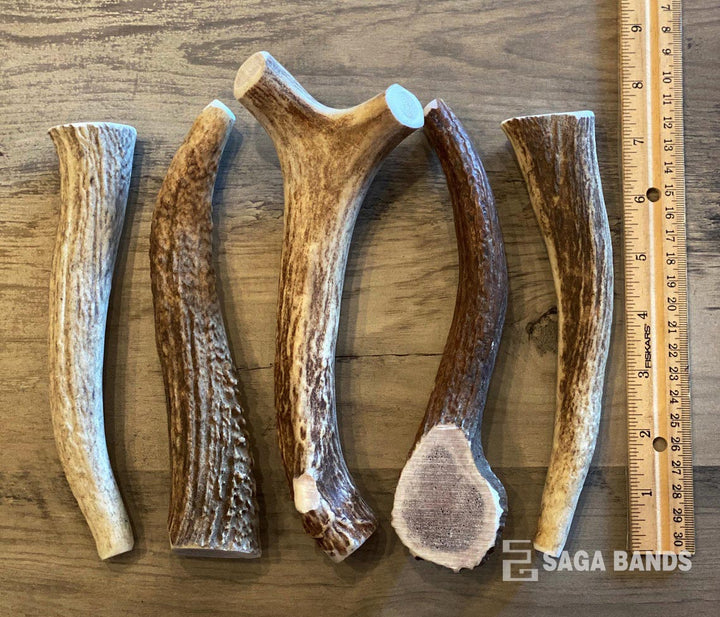 Naturally shed deer antlers for ring making, Saga Bands