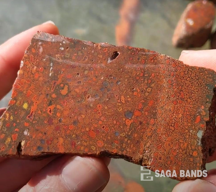 Dinosaur bone fossil fragment, Saga Bands material detail